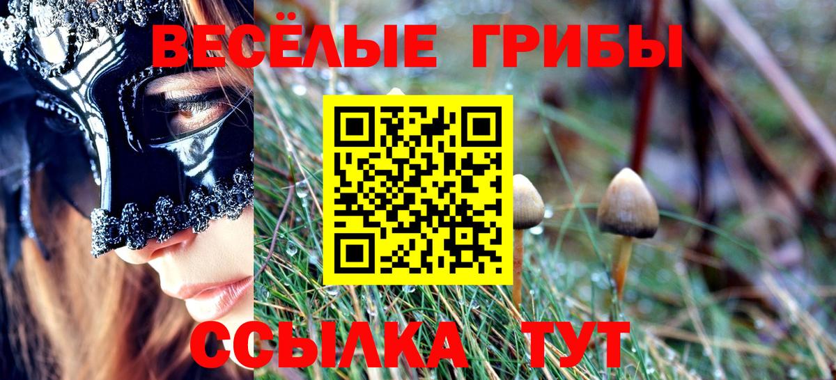 Тимашёвск  Галлюциногенные грибы мухоморы  Вход с VPN 
