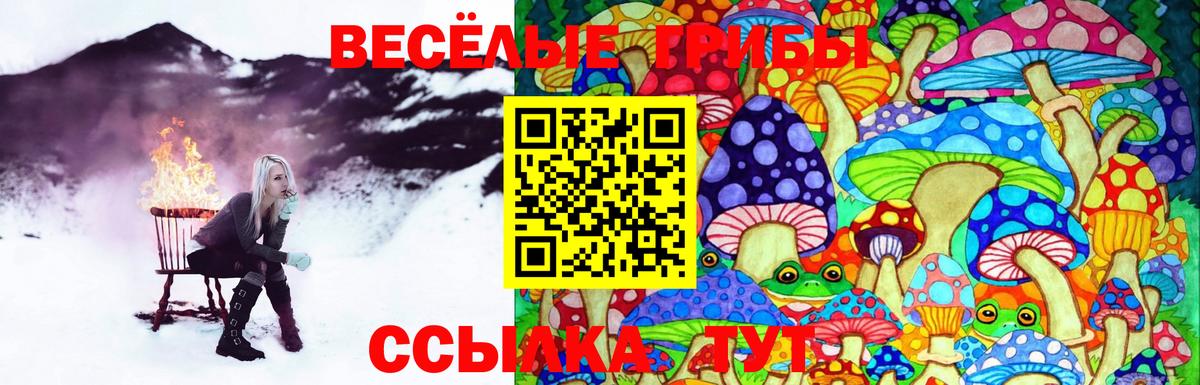 Псилоцибиновые грибы прущие грибы Тимашёвск
